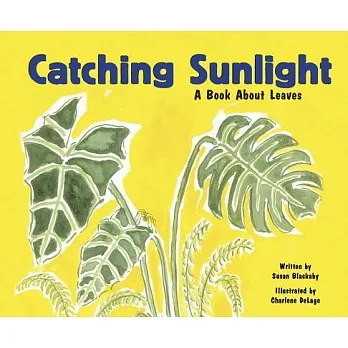 Catching sunlight : a book about leaves /