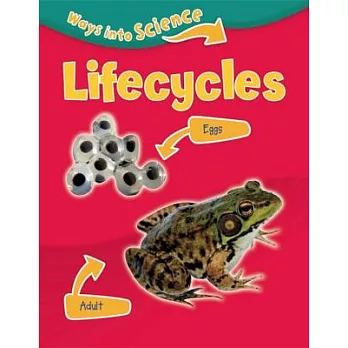 Lifecycles