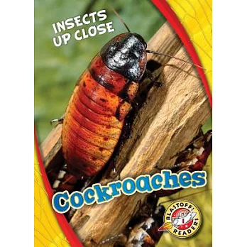 Cockroaches