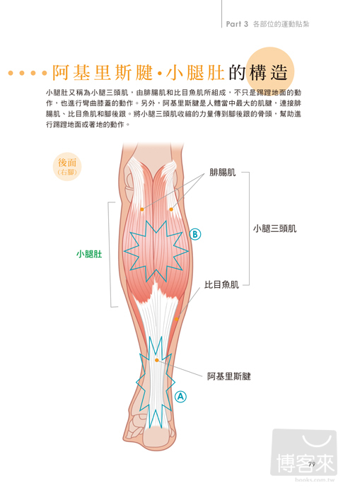 ►GO►最新優惠► [暢銷書]即效 運動貼紮