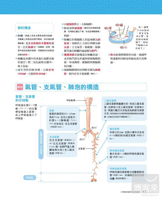 ►GO►最新優惠► [暢銷書]圖解人體生理機能大百科