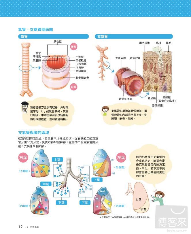 ►GO►最新優惠► [暢銷書]圖解人體生理機能大百科