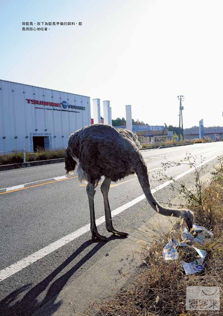 ►社會科學►暢銷書► 依然等待的動物們：日本福島第一核電廠警戒區紀實2