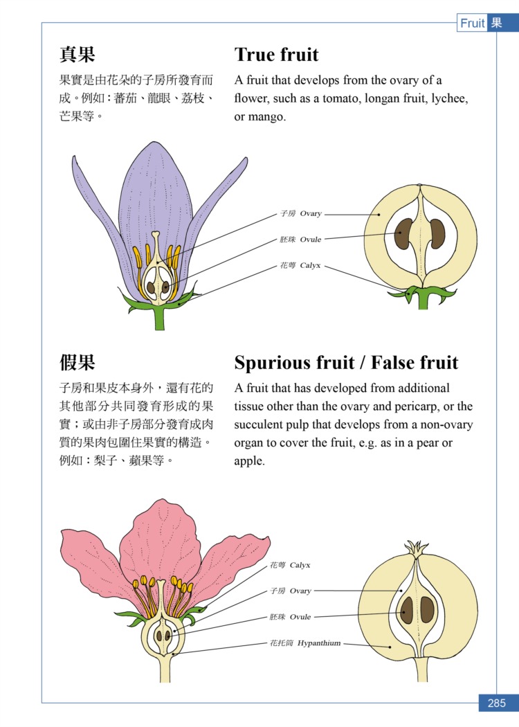 ►GO►最新優惠► [暢銷書]植物學中英百科圖典