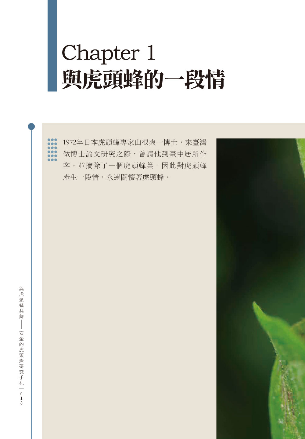 ►GO►最新優惠► [暢銷書]與虎頭蜂共舞：安奎的虎頭蜂研究手札