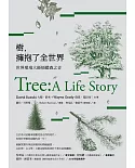 樹，擁抱了全世界：世界環境大師傾聽森之音