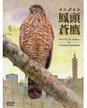 城市．遊俠．鳳頭蒼鷹(DVD)