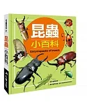 兒童百科：昆蟲小百科（典藏版）