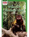 Chatterbox Kids 22-2 Where Do Monkeys Live?