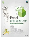 Excel 資料處理分析 高手