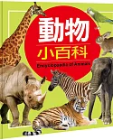 動物小百科