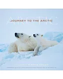 Journey To The Arctic