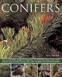 Conifers: An Illustrated Guide to Varieties, Cultivation and Care, With Step-by-step Instructions and over 160 Beautiful Photogr