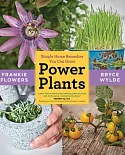 Power Plants: Simple Home Remedies You Can Grow