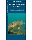 Saskatchewan Fishes: A Folding Pocket Guide to All Known Native and Introduced Species