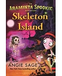 Skeleton Island