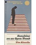 Sunshine on an Open Tomb