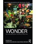 Wonder in Contemporary Artistic Practice