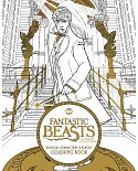 Fantastic Beasts and Where to Find Them: Magical Characters and Places Colouring Book