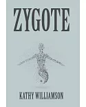 Zygote