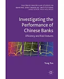 Investigating the Performance of Chinese Banks: Efficiency and Risk Features