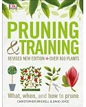 Pruning & Training