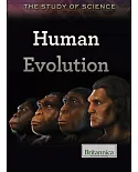 Human Evolution