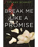 Break Me Like a Promise