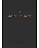 Gospel of John: Reader’s Edition