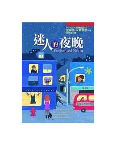 迷人的夜晚