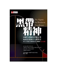 黑帶精神：由嬌生經驗看卓越企業如何有效執行六標準差