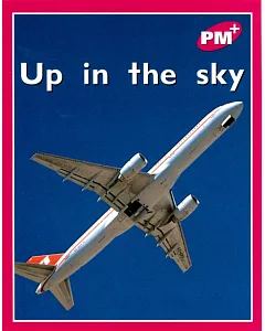 PM Plus Magenta (1) Up in the Sky