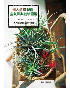 懶人植物新寵：空氣鳳梨栽培圖鑑