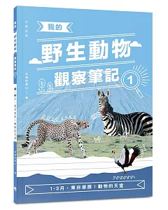 我的野生動物觀察筆記1：1-3月，東非草原！動物的天堂