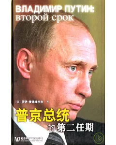 普京總統的第二任期