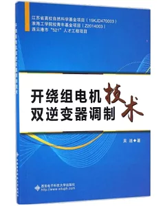 開繞組電機雙逆變器調制技術