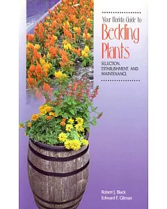 Your Florida Guide to Bedding Plants: Selection, Establishment, and Maintenance