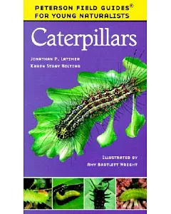 Caterpillars