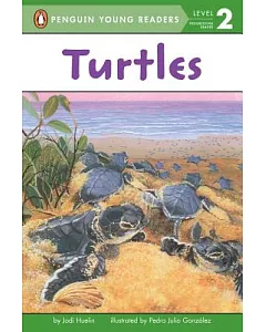 Turtles