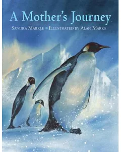 A Mother’s Journey