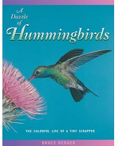A Dazzle Of Hummingbirds: The colorful life of a tiny scarpper