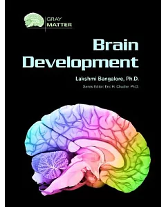 Brain Development