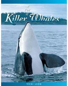 A Pod of Killer Whales: The Mysterious Life of the Intelligent Orca