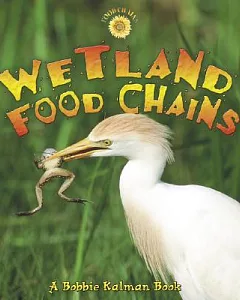 Wetland Food Chains