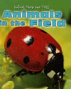 Animals in the Field