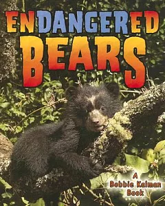 Endangered Bears