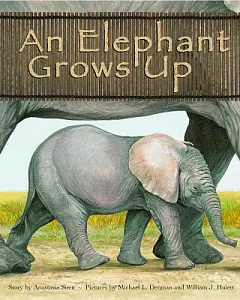 An Elephant Grows Up