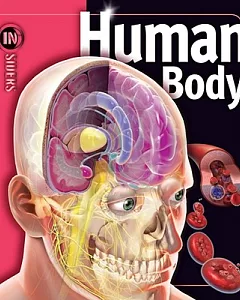 Human Body