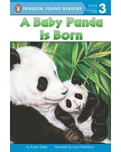 A Baby Panda Is Born