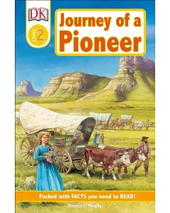 Journey of a Pioneer